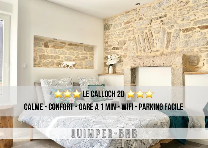 Le Calloch 2D - Studio 4 Etoiles - Quartier Gare - Wifi - Netflix